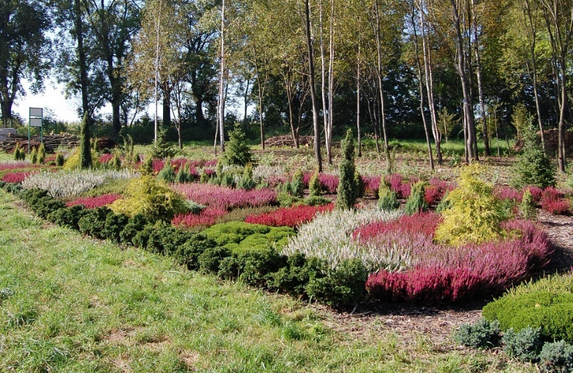 Silesian Botanical Garden, Mikołów, Poland, Poland